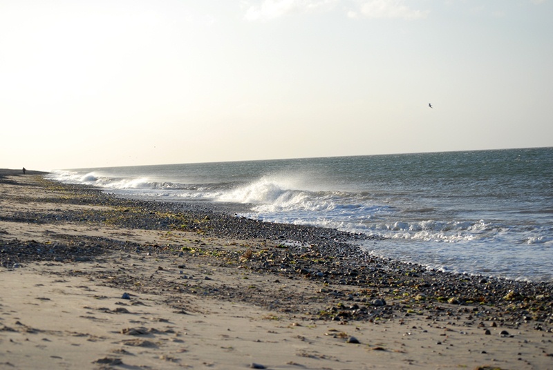 Cley next the sea, Norfolk. September 2011 Foto: Hanne Siebers