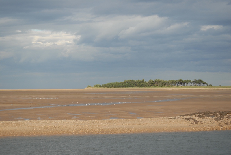 Wells_Holkham 2011, Foto: Hanne SIebers