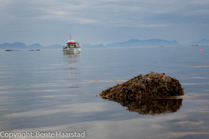 lofoten_vesteraalen_cw