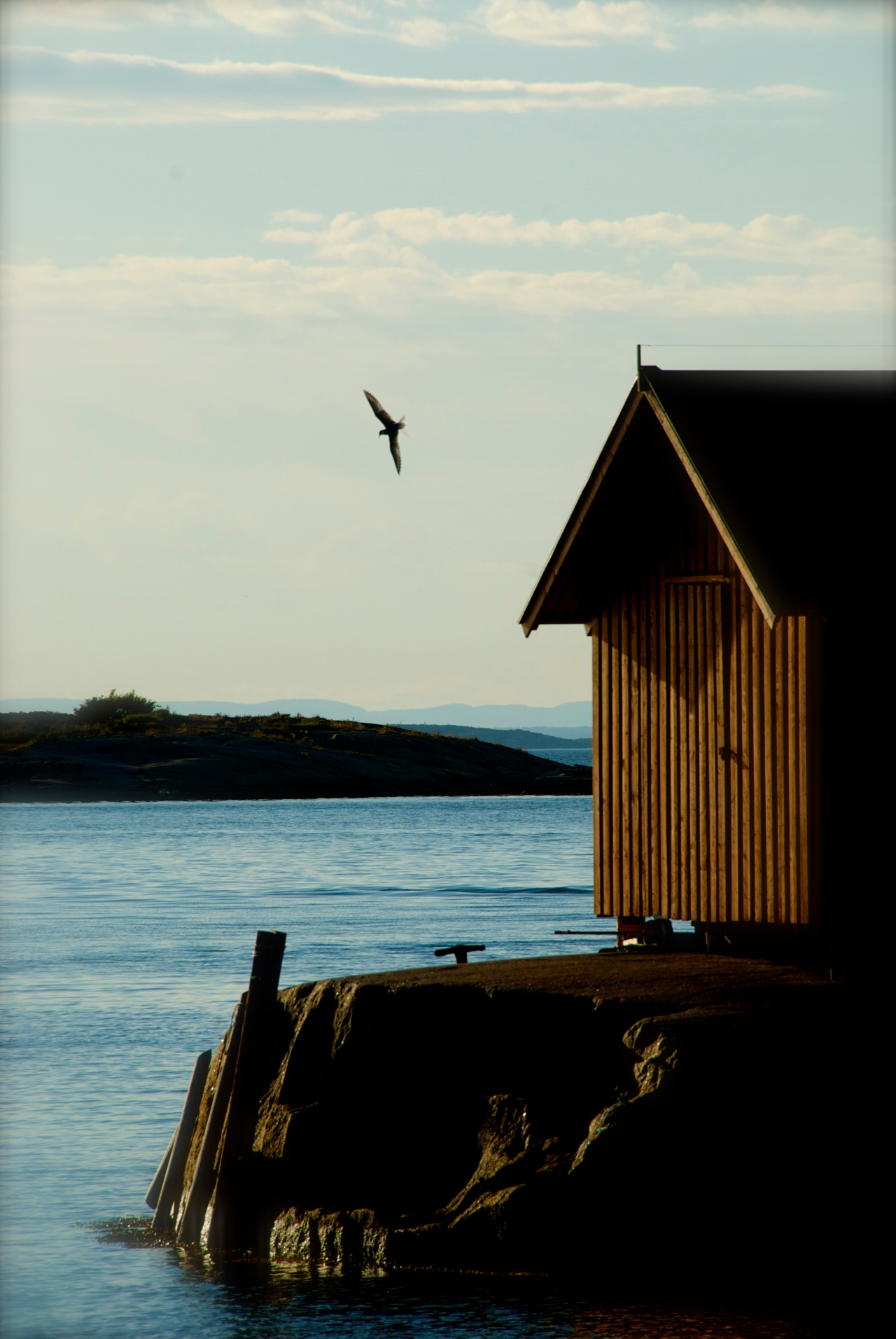 DSC_0066 Papperhavn, Hvaler, Norway Foto: Hanne Siebers