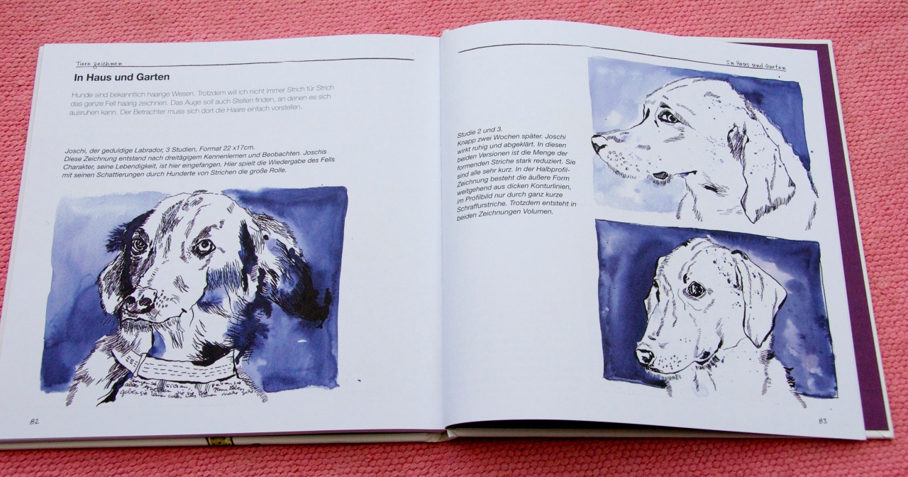 Hunde zeichnen bei Susanne Haun, Foto: Hanne Siebers
