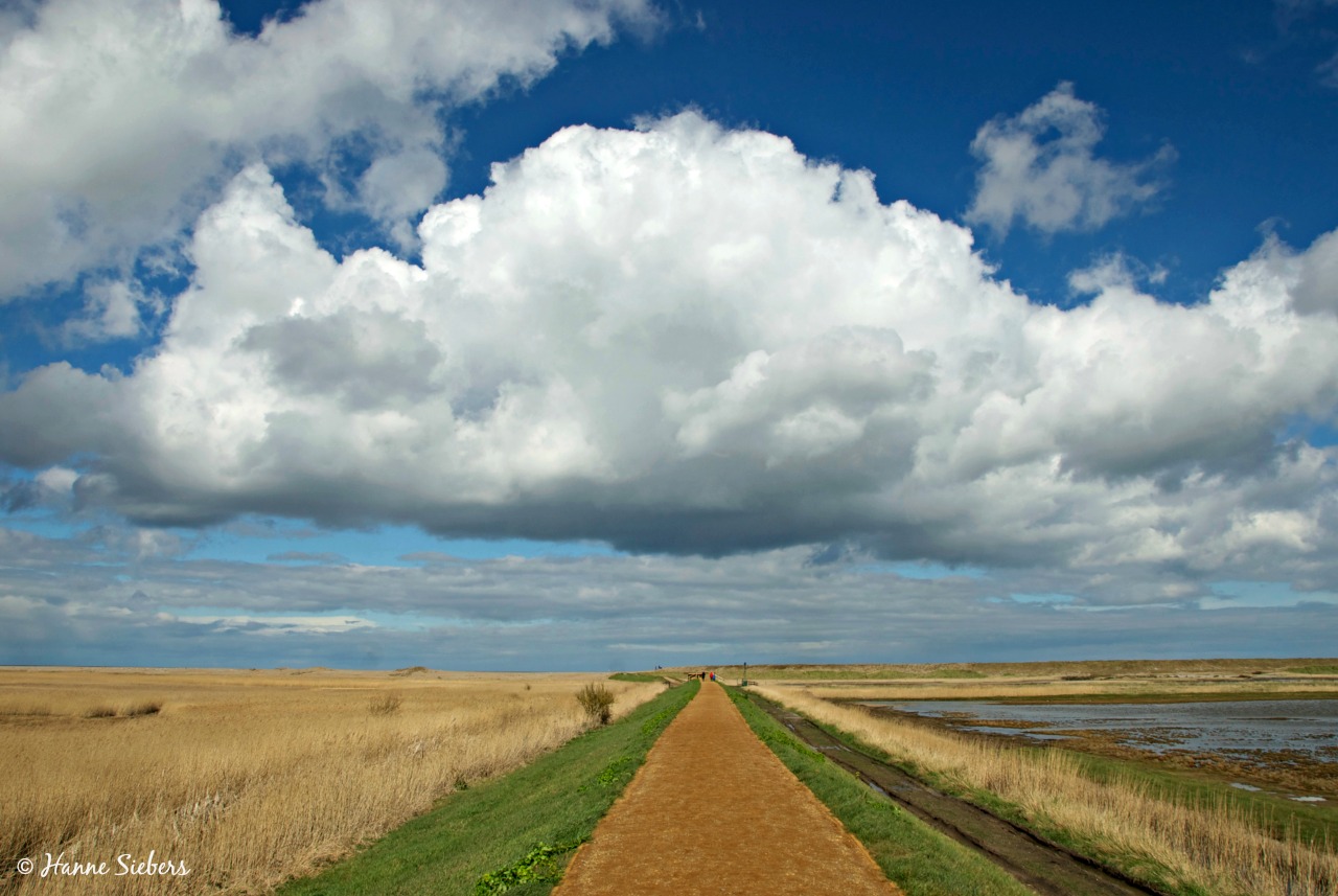 Cley_Marshes