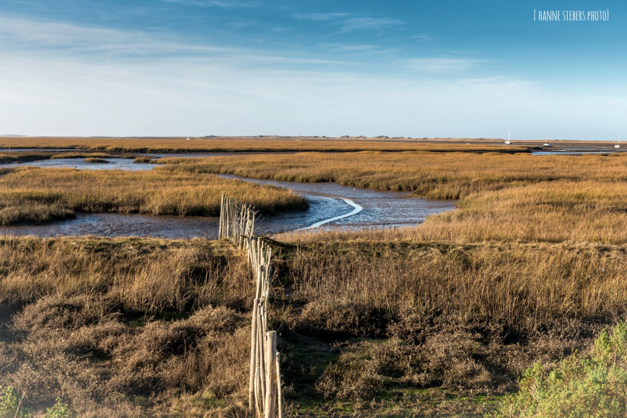 cley_marshes-sign