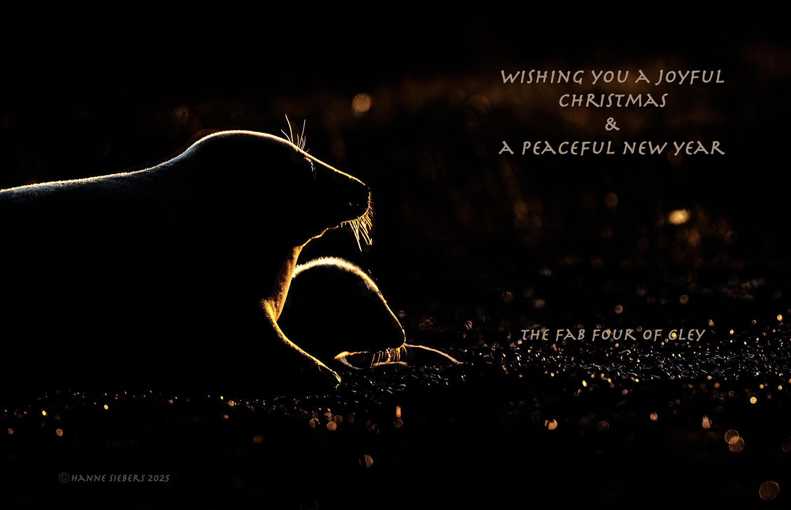 ChristmasCardBlog_2025_1600
